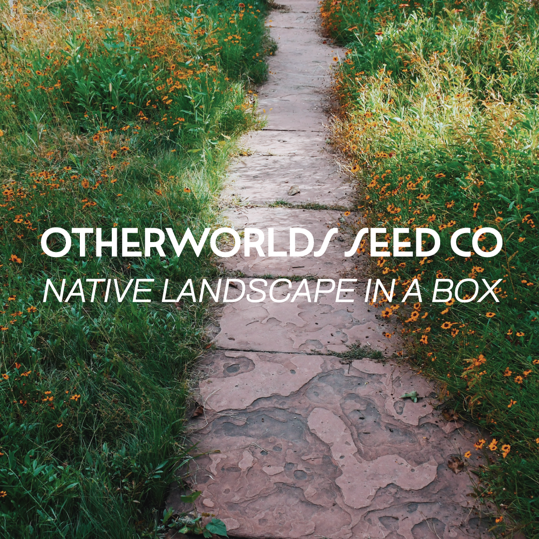 *PRE-ORDER* Otherworlds Native Landscape in a Box (Local Pickup Only)