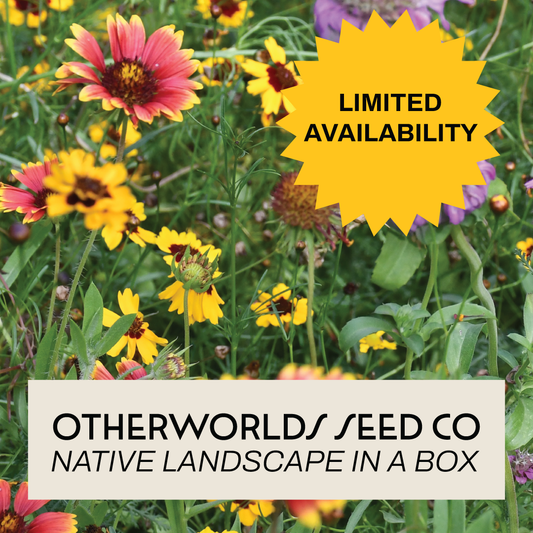 *PRE-ORDER* Otherworlds Native Landscape in a Box (Local Pickup Only)