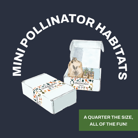 Mini Pollinator Habitat in a Box *Local Pickup Only*