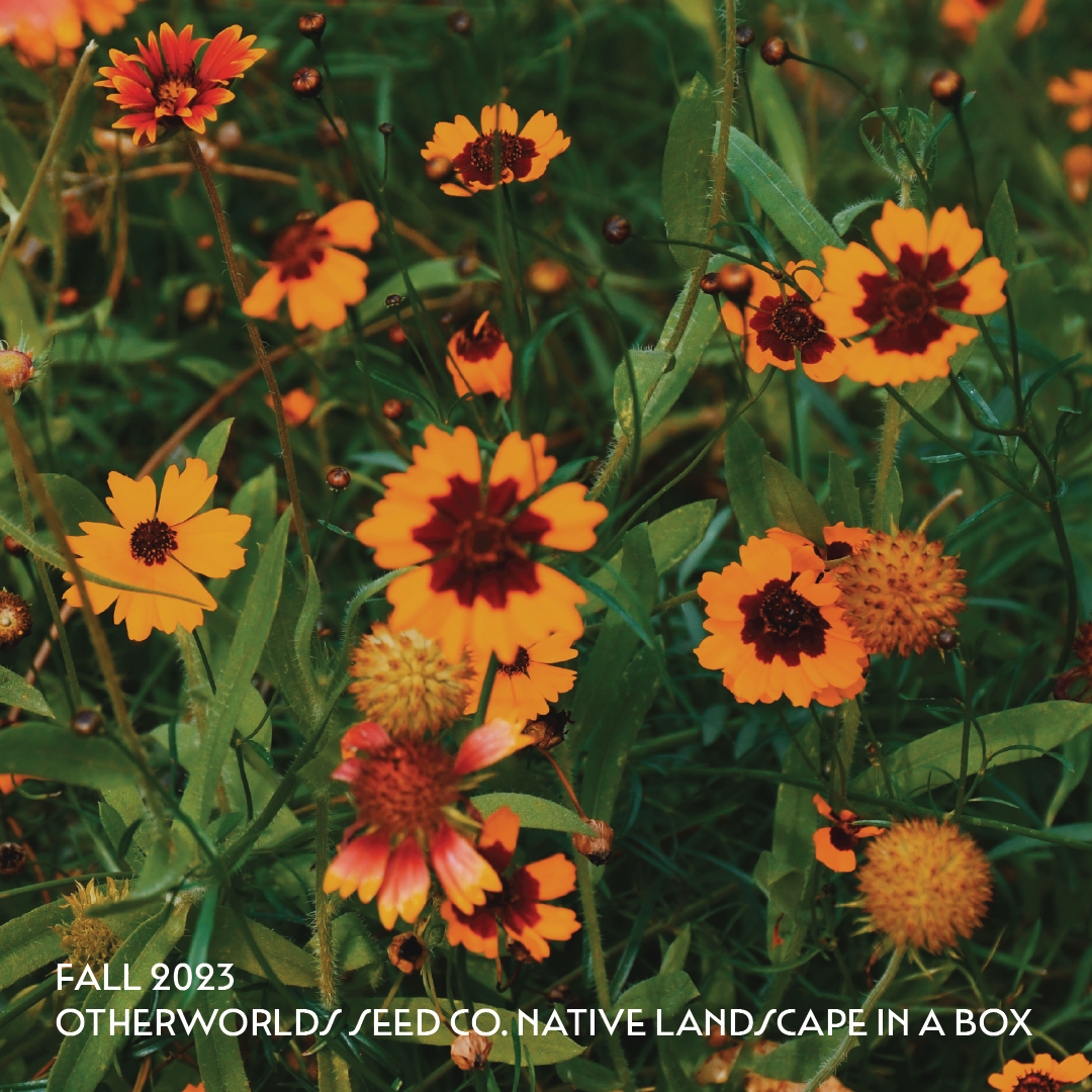 *PRE-ORDER* Otherworlds Native Landscape in a Box (Local Pickup Only)