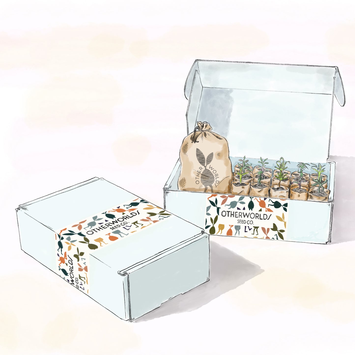 *PRE-ORDER* Otherworlds Native Landscape in a Box (Local Pickup Only)